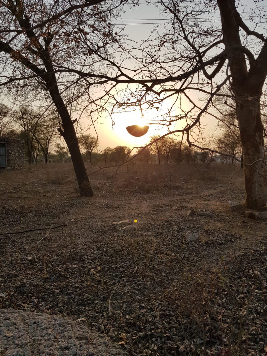 Kavita Srivastava tweet media