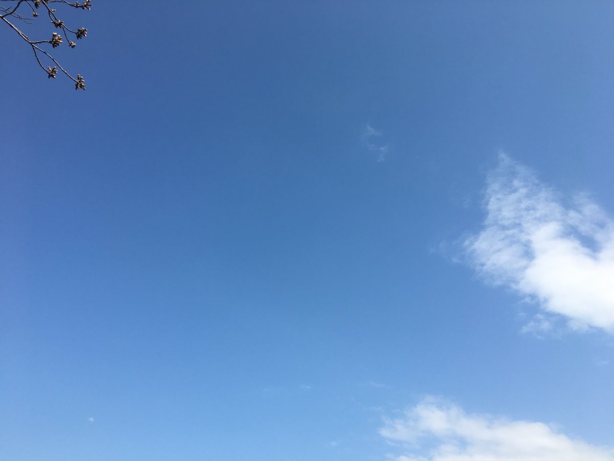 pirikakaze's tweet photo. 僕の胸は高鳴っている。
まだ見ぬ世界に、出逢いに、そこで生まれるであろう音楽に。

彼の心もそうであってくれるだろうか。
いや、きっと彼なら、あの異世界を愛して生きていくことだろう。
はっきり分かる。彼は僕なのだから。
そして僕らはこう呟くんだ。

「Hello, World.」

#ピリカの旅路 https://t.co/7MCoSLdEpd