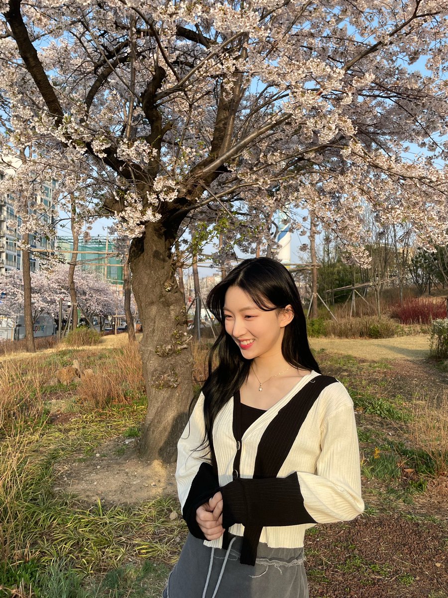 youiarchives's tweet image. gf material