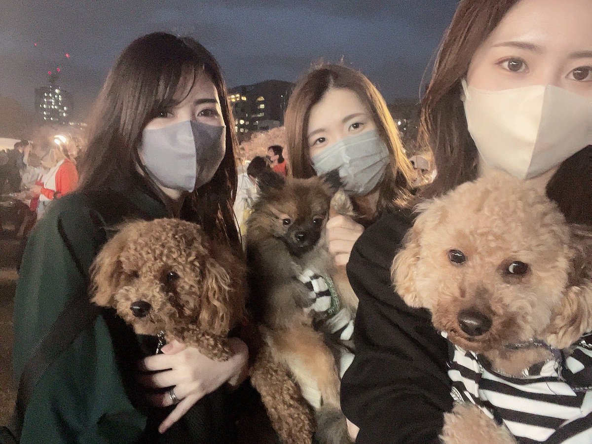 ryoka. tweet media