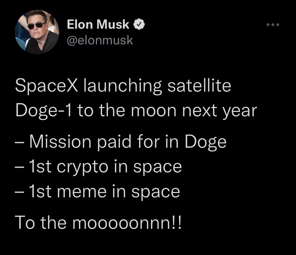 Doge-1 🍥 tweet media