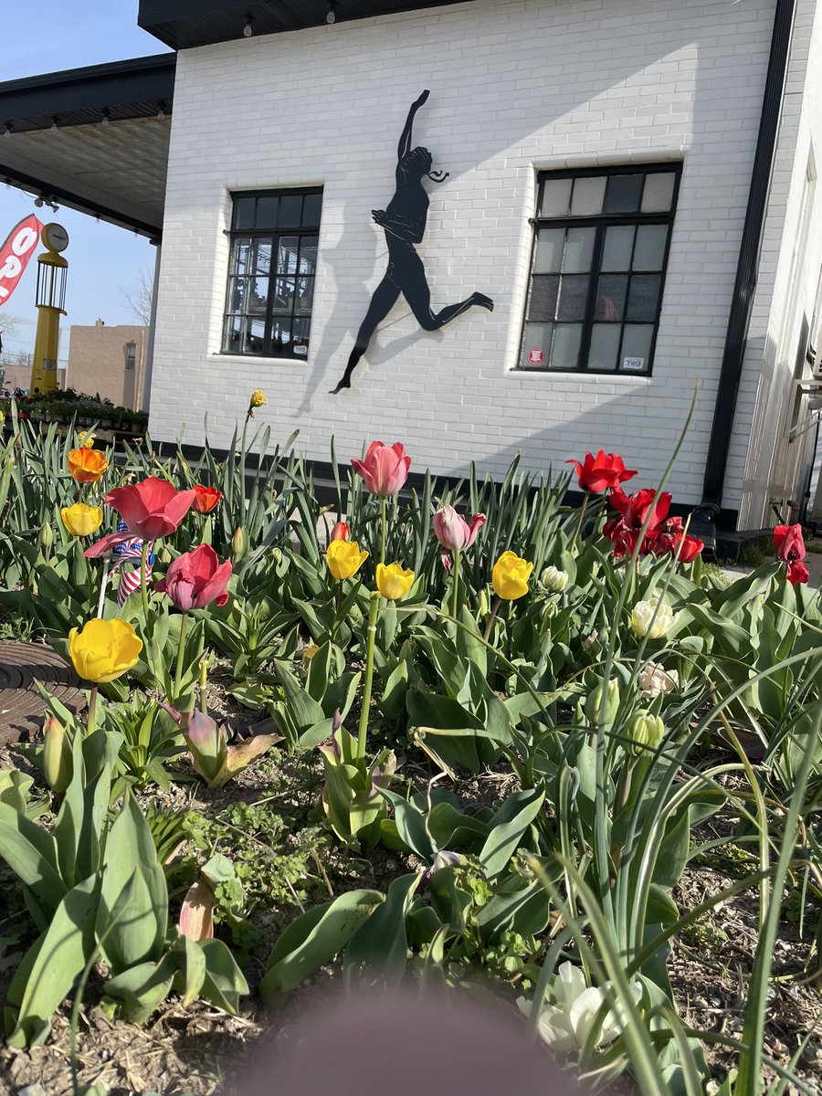 FrozenElephant's tweet photo. It’s a beautiful day full of fun at Miami Marathon Station and The Frozen Elephant! Miami Elks Lodge is hosting a free kids Easter Egg hunt and we are right next door! #shoplocal for your house / garden and get a free shaved ice in return! https://t.co/V8MmQtOtYE