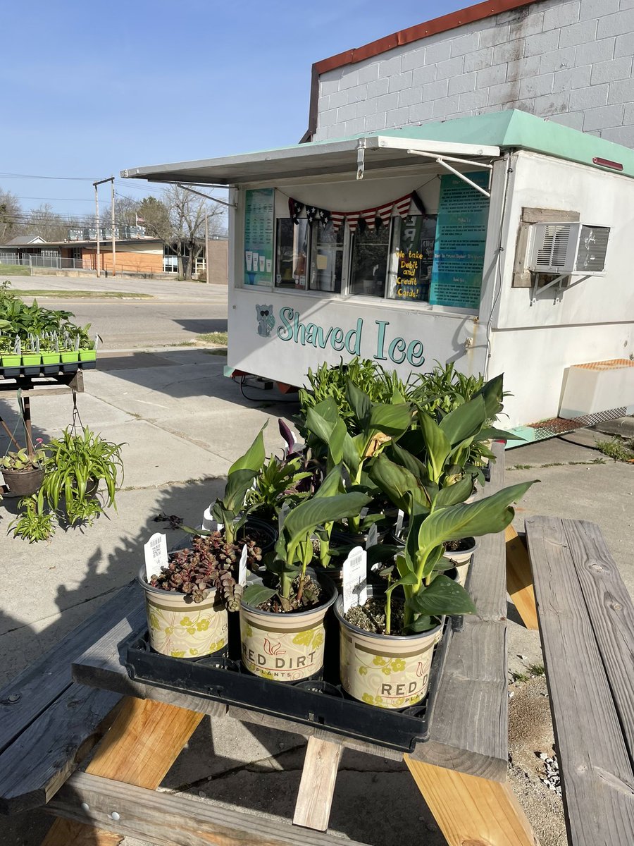 FrozenElephant's tweet photo. It’s a beautiful day full of fun at Miami Marathon Station and The Frozen Elephant! Miami Elks Lodge is hosting a free kids Easter Egg hunt and we are right next door! #shoplocal for your house / garden and get a free shaved ice in return! https://t.co/V8MmQtOtYE