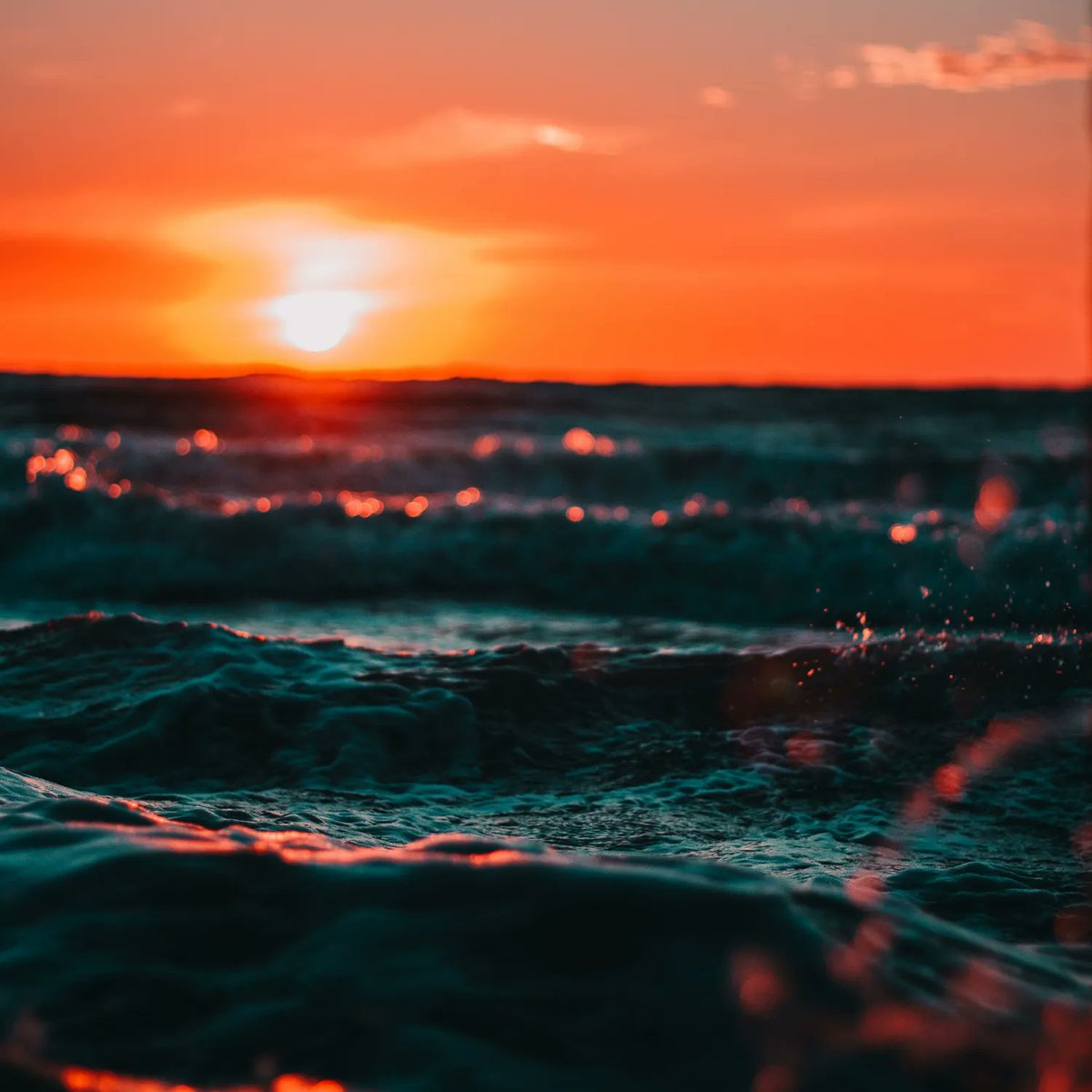 k2chats's tweet photo. Lazy Sundays in springtime are a great reset and easy to achieve. Take a nap, sketch, paint, watch the sunset, get creative with your time - we all need it once in a while.

#artclasses #artistlife #creativity #studiok2 #artexperiences #drawing #painting #sundayvibes #lazyday https://t.co/REzjMgMf9I
