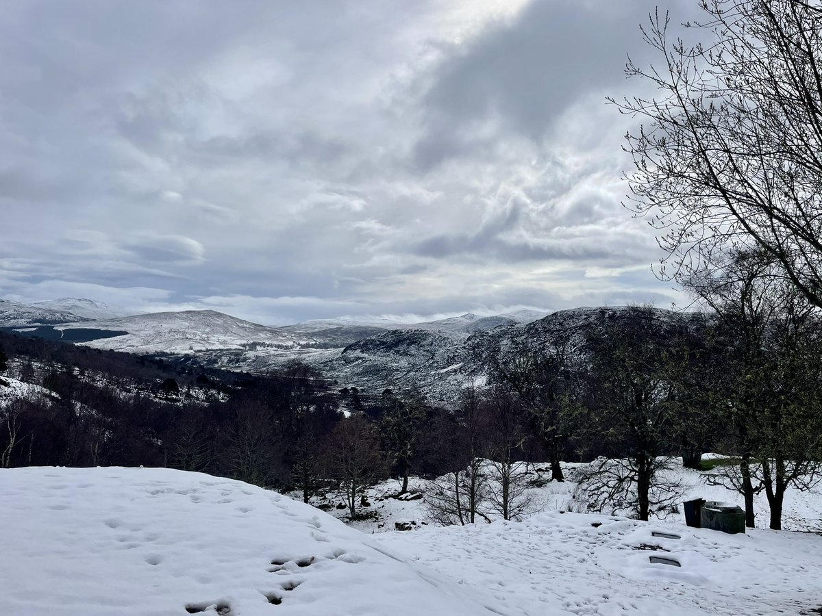AmityAllen's tweet photo. What a fantastic 2 weeks with #exeterrewildingfc @ConBiodivMSc touring Scotland meeting inspiring people, discussing all things conservation management and seeing some spectacular wildlife sightings. Thank you @StuBearhop, @DaveHodgson00 and all the PHD students for organising 🙌 https://t.co/9CPxQmI8Oc