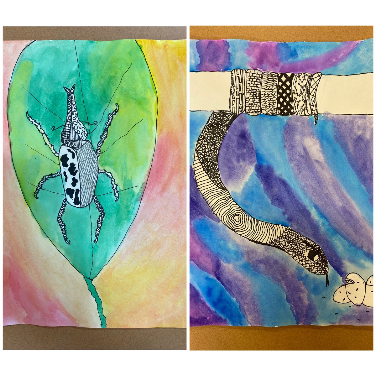 FTSD_Anderson's tweet photo. 6th Grade Zentangle Animals are finally up on display! Feeling stressed?? I highly suggest doing a zentangle to calm your mind 😌 https://t.co/5jPDXit5uJ