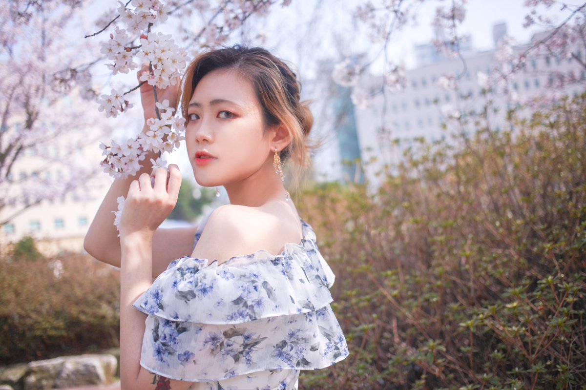 Epinephrine_01's tweet photo. [22.04.09] 벚꽃촬영 1 
Model: @JMD_2200315_T 
Photo: @Epinephrine_01 

#profmong_photo https://t.co/XE7ws9V4HD