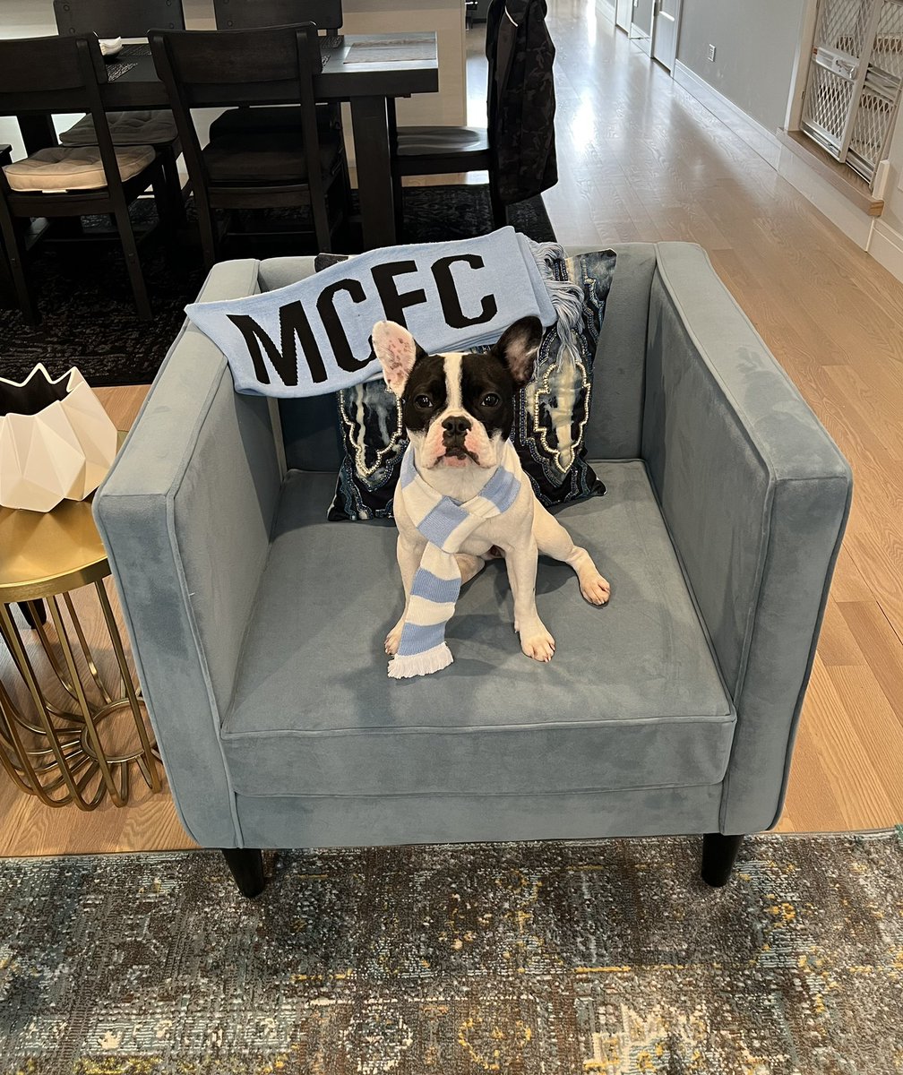 mychelle3's tweet photo. C’mon City! I support my boys every week but this one’s extra important! Let’s do it! @ManCity @ManCityUS @ChicagoMCFC @premierleague @NBCSportsSoccer #MyPLMorning #mancity #mancitypup https://t.co/sB1AB4LaSA