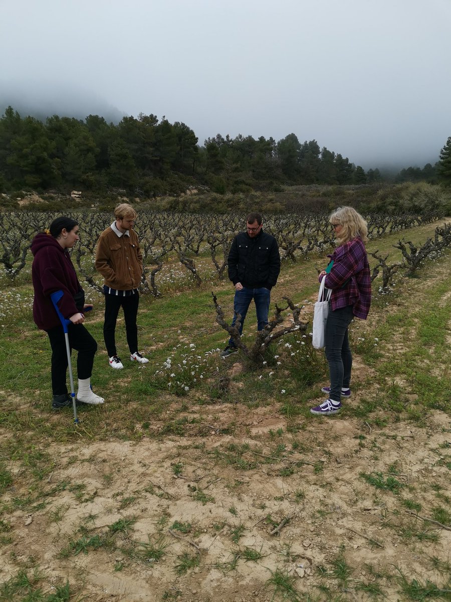 Celler Matallonga tweet media