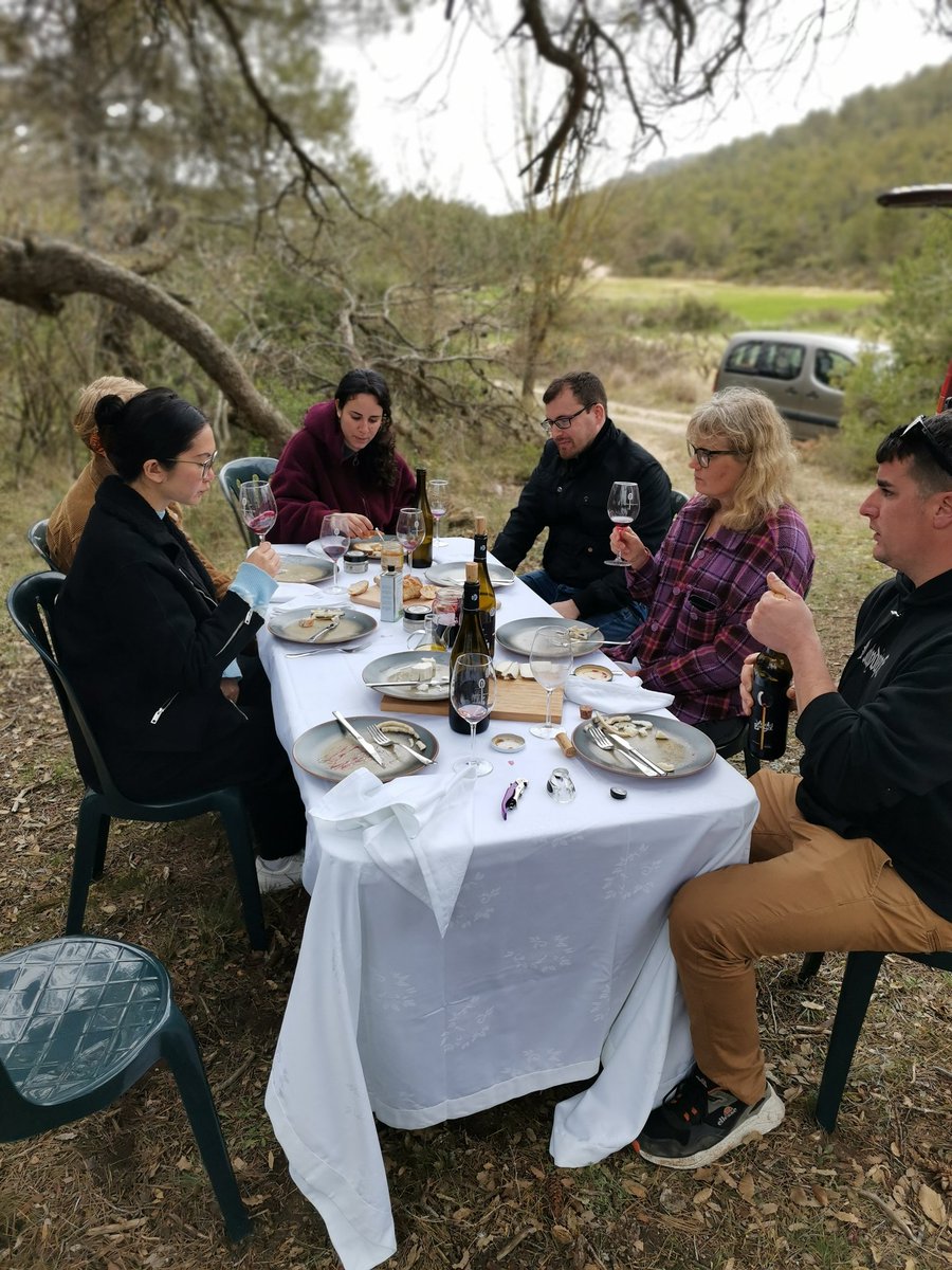 Celler Matallonga tweet media