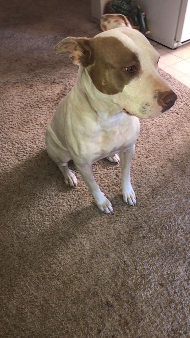 Souless Industries tweet media