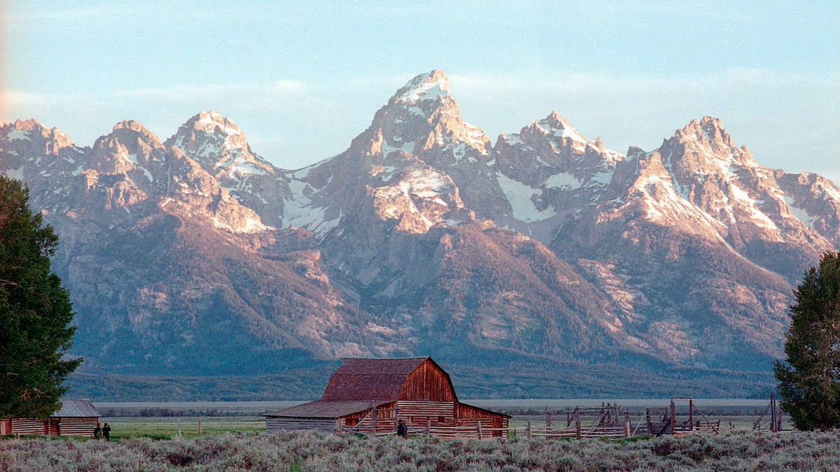 The film.                  🤝            The photos.