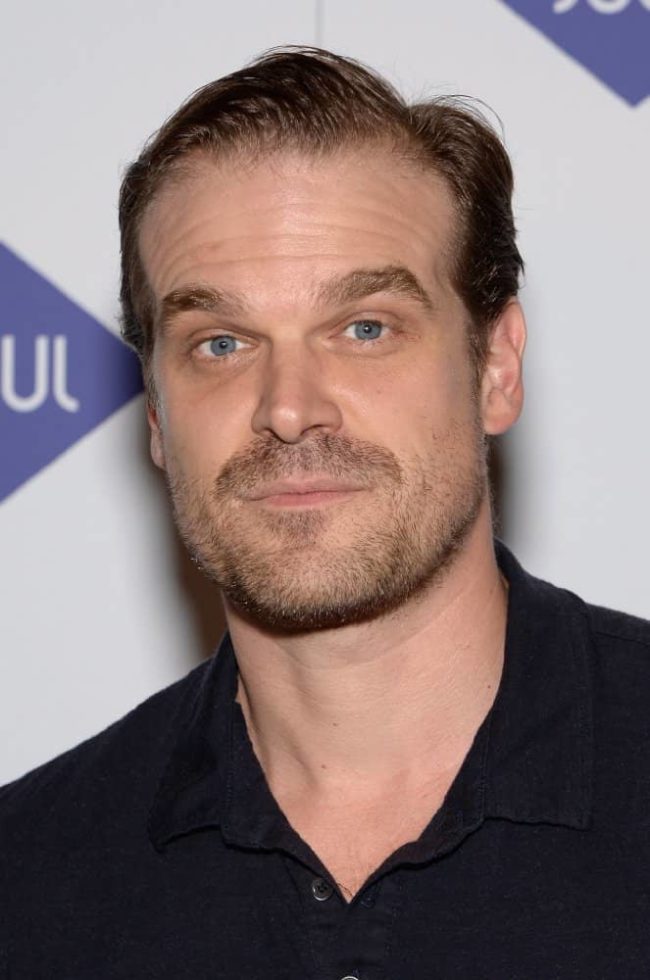 Happy 47th Birthday David Harbour 