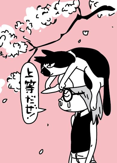 今年もそろそろ見納めだぜ!🌸 