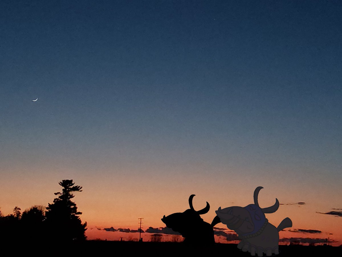 telemachyo's tweet photo. Evening pictures. Silhouettes of a couple #KlayPets out in the field. https://t.co/2V9T8xXfuJ