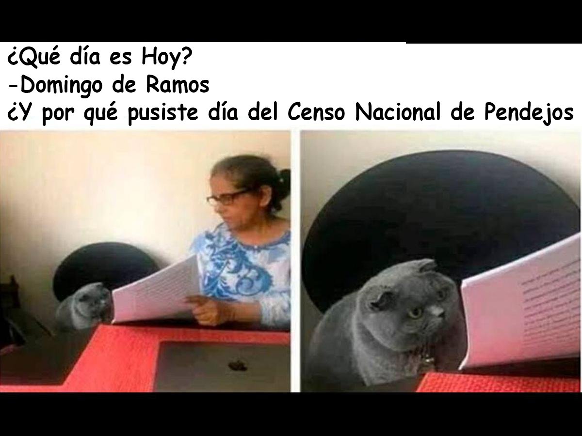 me_duele_mexico's tweet photo. ¿Qué día es Hoy?
-Domingo de Ramos
¿Y por qué pusiste día del Censo Nacional de Pendejos #CensoNacionalDePendejos #NoVotesNoParticipes #QuedateEnCasa2022 #RevocacionDeMandato #UrnasVaciasNoVayasaVotar https://t.co/DzS2sdyC4m