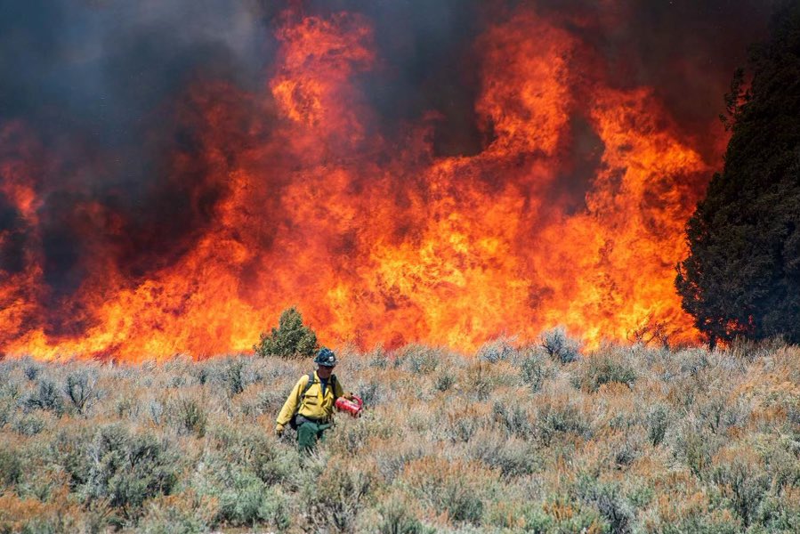 UtahWildfire's tweet photo. 600 acres completed yesterday (4/9/22) on #OldWomanSouthRx. No ignitions planned today due to unfavorable burning conditions. #usfsFNF and #FFSL will continue ignitions once the cold weather system passes over the project area. #UtahSharedStewardship #UtahWRI #FuelsProjects https://t.co/HV1wqNiK4t