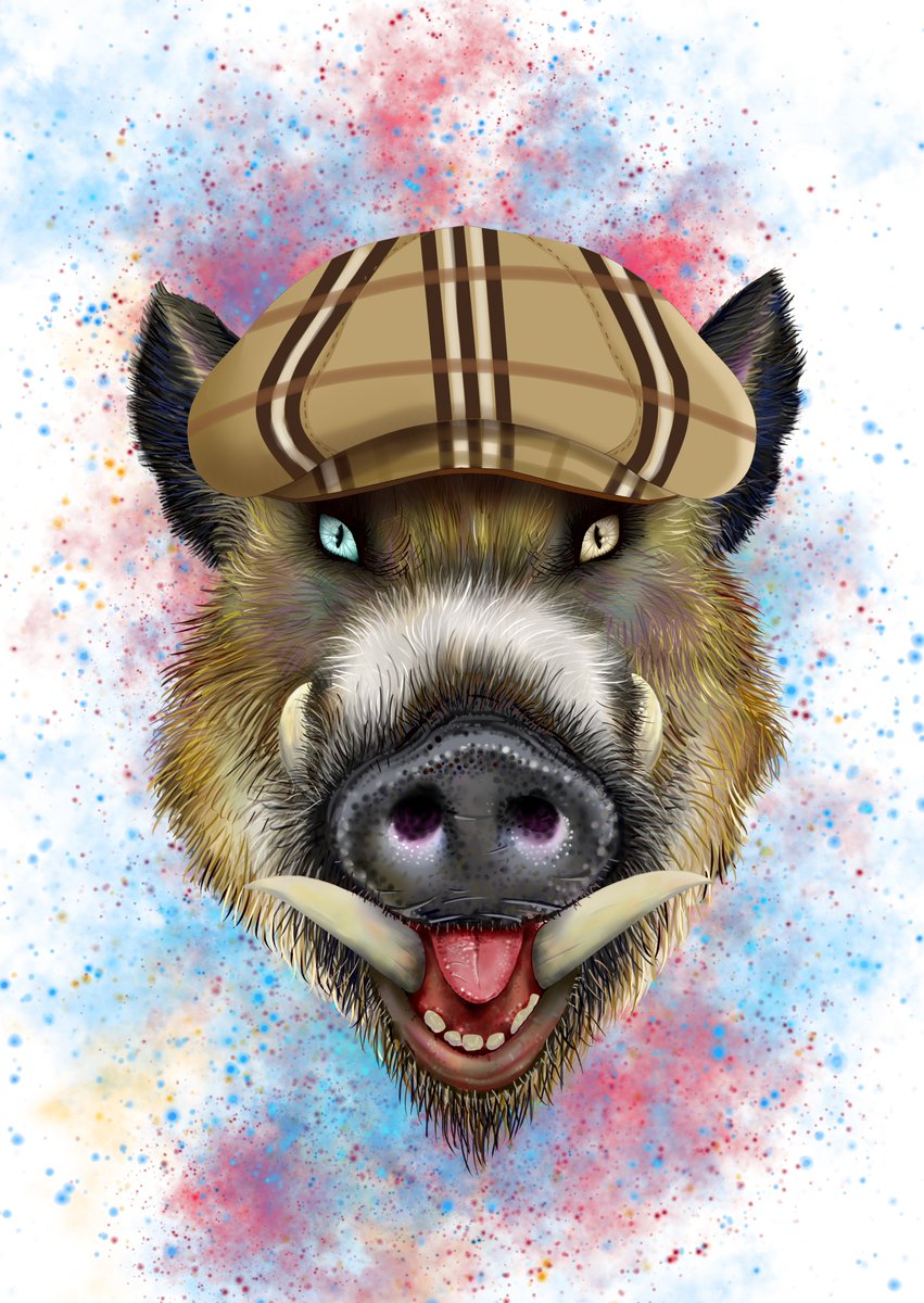 The King Boar Club tweet media