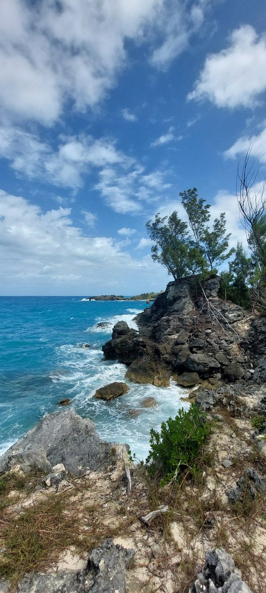 Kenny Wheeler tweet media