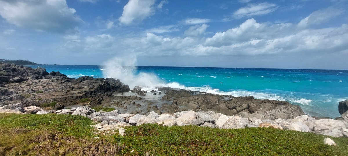 Kenny Wheeler tweet media