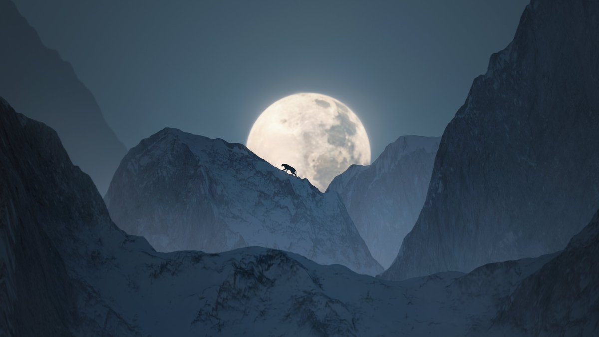 to the moon we go 🌙