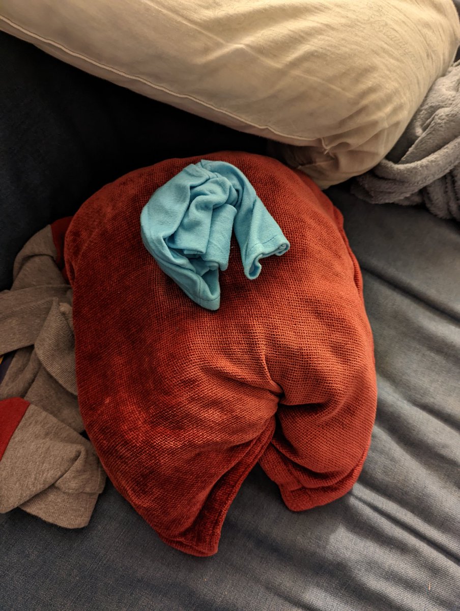QuaidPlayinGame's tweet photo. This pillow looks sus... https://t.co/ZCcI7Hfe3q