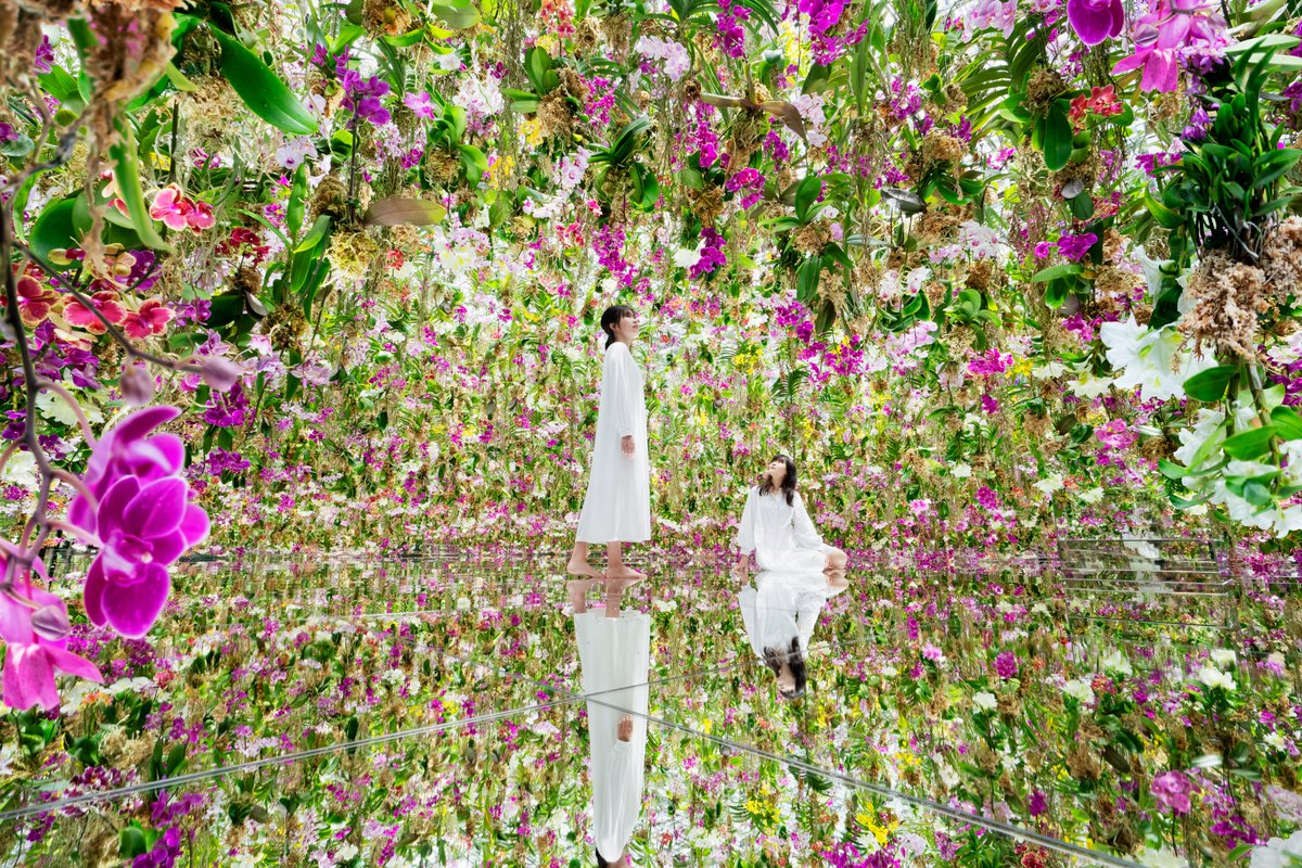 Floating Flower Garden 人々が花々の中に埋没し 花と一体化する庭園 花を近くで見続けると 花もまた人を見はじめる その時 人は花と一体化し はじめて花を見ていることになるのかもしれない 空中に咲く 株を超える生きたランの花々をお楽しみください