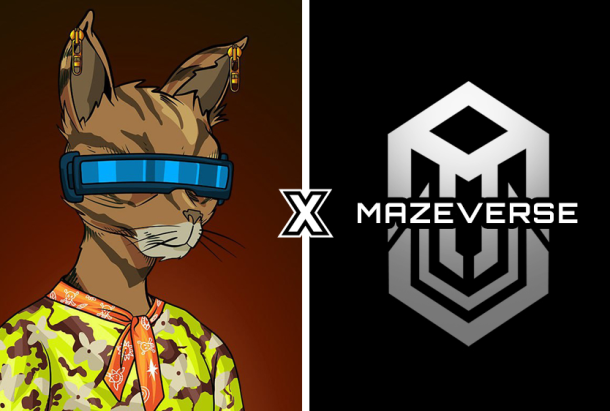 #NFTGiveaway  New partnered up with <a href="/Mazeversenft/">Mazeverse: Mazers</a> for a giveaway 🤩

🎉 3x WL for CCDCofficial 
🎉 3x WL for Mazeversenft  

To enter:
🔴Follow <a href="/Mazeversenft/">Mazeverse: Mazers</a> and <a href="/CCDCofficial/">CarelessCatdoCare 🙌🏼</a>
🔵 Like &amp; Retweet
🟢  Tag 1 friend ( Extra Tag = Extra Entry )

24 hours⏰

Come and Join us! #NFTdrops