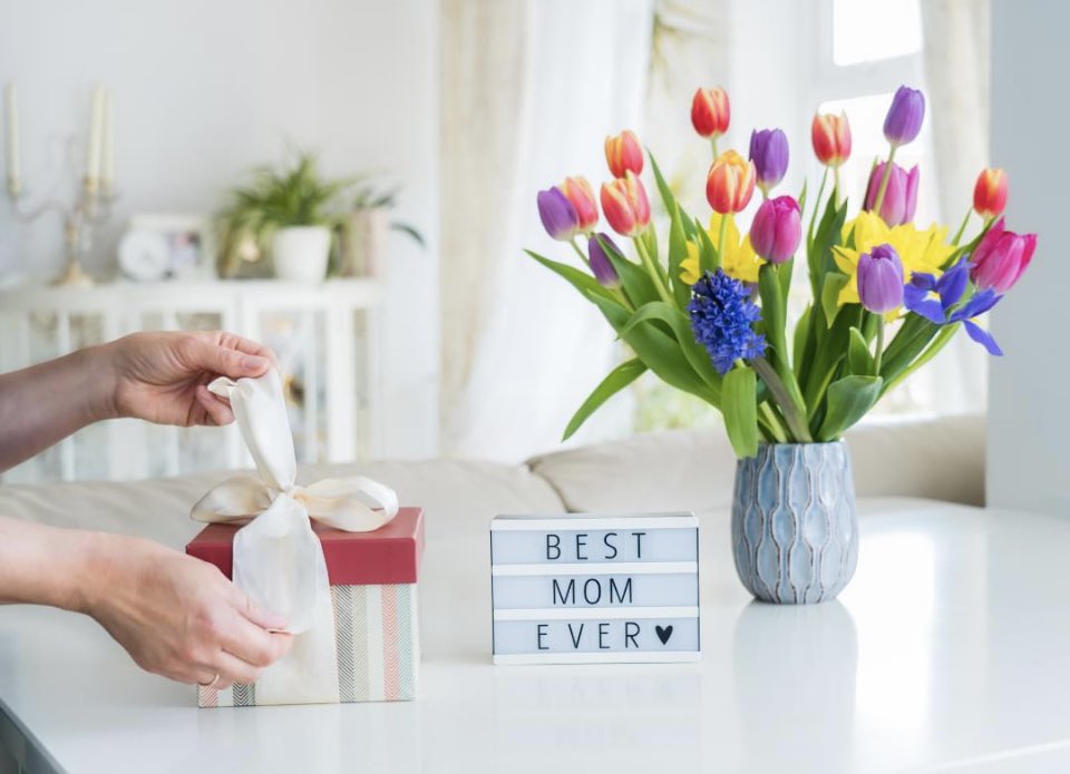 frenchmanor's tweet photo. 💐 Mother’s Day is almost a month away! 💐 Surprise mom with a retreat to the Pocono Mountains, so she can spend her time relaxing and enjoying the peace and quiet with some of the best views around.

https://t.co/WVL6QsgdxV https://t.co/3pmni604On