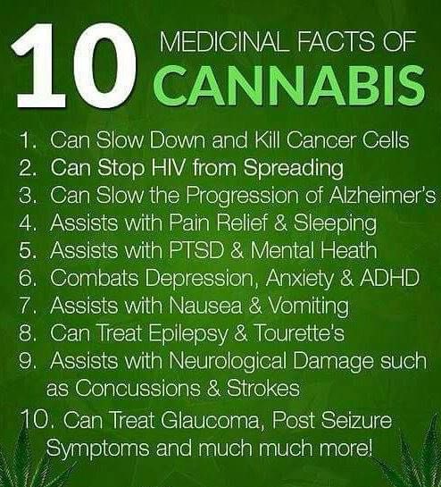 It’s a plant. It’s all natural. It’s medicine. It’s #Cannabis !! #LegalizeIt
