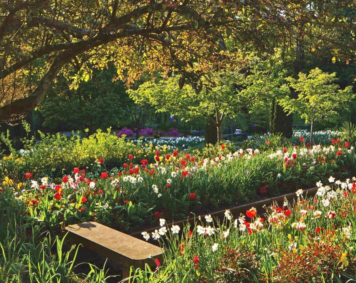 SouthernLadyMag's tweet photo. “Time you enjoyed wasting is not time wasted.”—Marthe Troly-Curtin, author

#southernladymag #MartheTrolyCurtin #author #flowerfields #prettyflowers #prettyviews #springinthesouth #gardeninspo #southerngardens #springgardens https://t.co/Ka7exE48yK