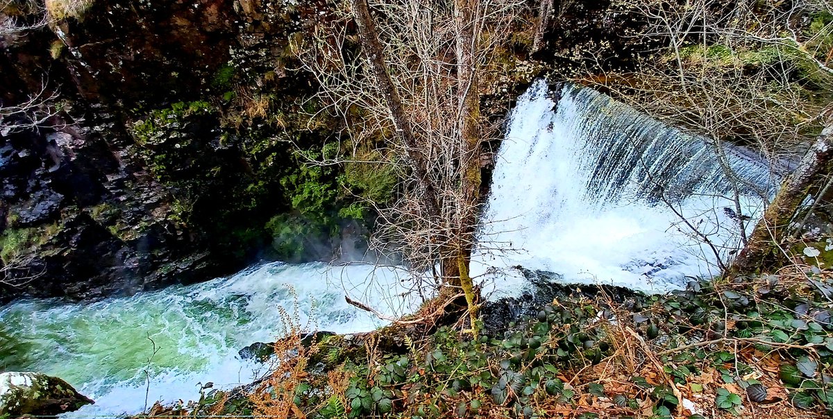 dirreve's tweet photo. Saut de l'#Ognon
Servance
Haute-Saône https://t.co/xUwp8cXcsR