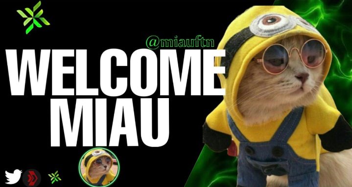 Stz_esports's tweet photo. Nosso novo criador de conteúdo com mais de 1000 folows no Twitter chegou ! Podemos até dizer que ele é um gato !
SEJA BEM VINDO À KTX...

@miauftn 🍀 #goKTX #600daKTX

Designer by 🖌️: @Koway1x https://t.co/kirryRSdzH