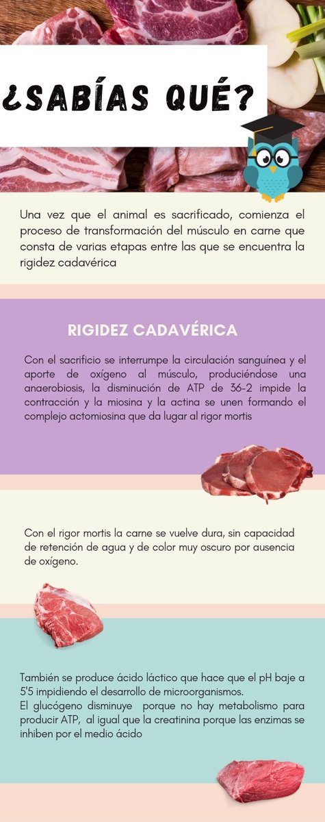 🤔¿Sabías qué....?👀⬇️