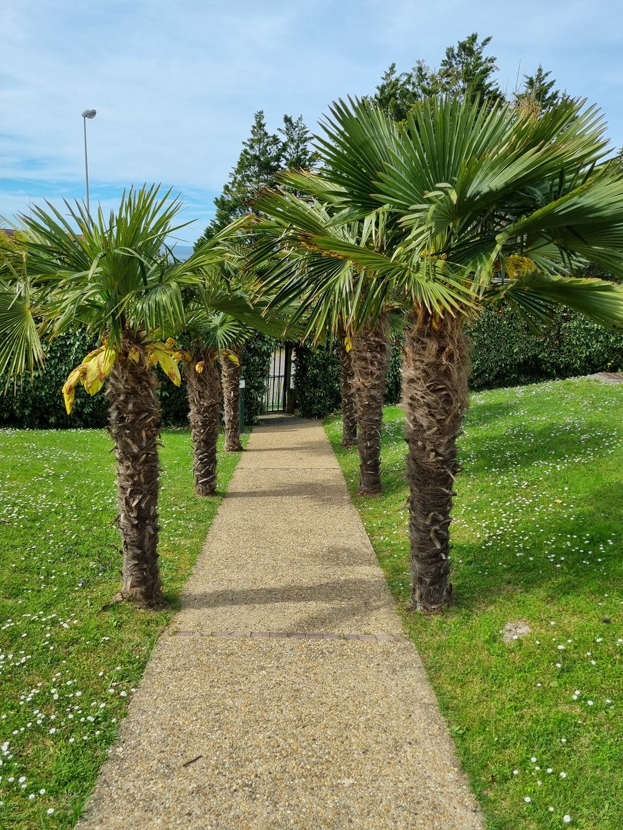 Olivier🐿️ tweet media