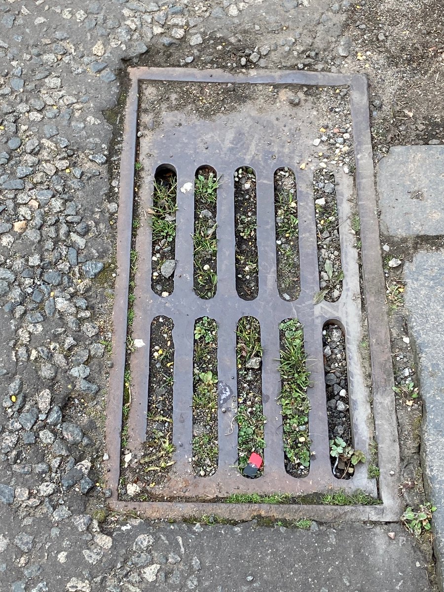 FalkirkFilthy's tweet image. Wondering why there’s more flooded roads in Falkirk than ever before?  Look  no further than our storm drains. This one is on Griffiths Street is a neglect of basic services by @falkirkcouncil @falkirk_herald @FalkirkSNP @CB_Falkirk2022 @ScottFallon1876 @JohnMcNallySNP