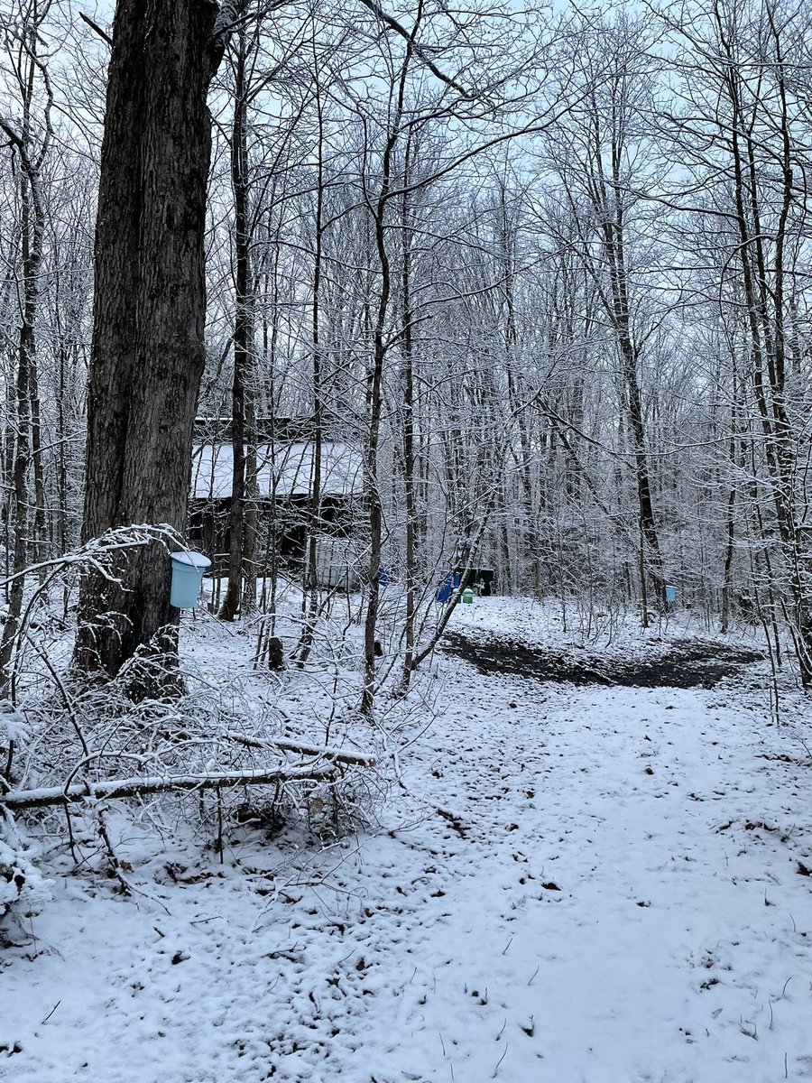 Tingo_89's tweet photo. It’s cold and snowy looking outside in #partysound, but it’s nice and cozy (and amazing smelling!) out in the sugar shack.
Working away at boiling down sap for some liquid gold 🍁 https://t.co/F8sGRgtHDg