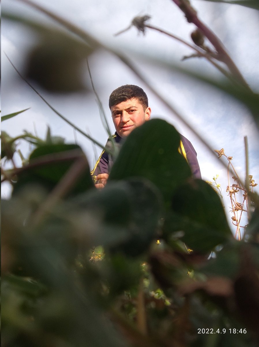 Mehmet PALİCE (@mehmetpalce1) on Twitter photo 