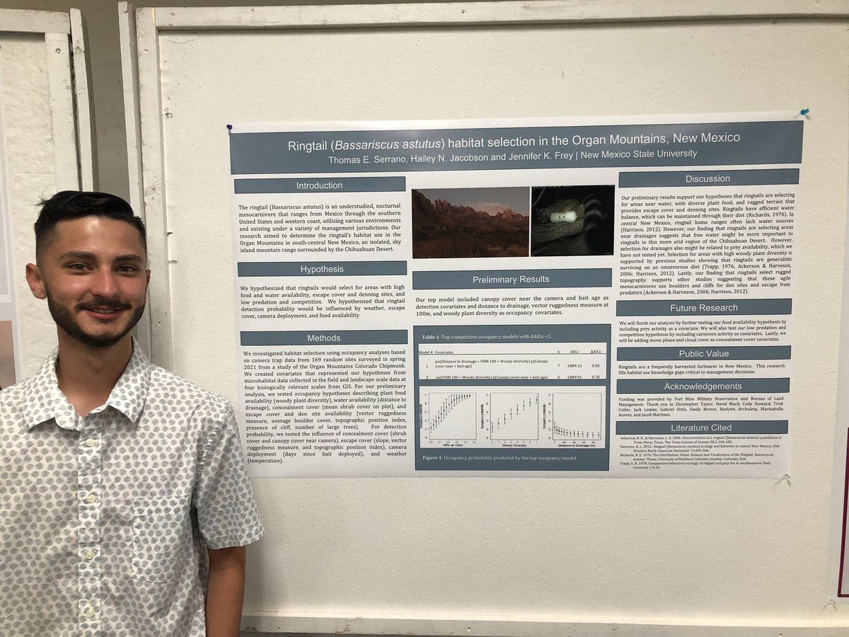 JenniferKFrey's tweet photo. Congratulations Thomas Serrano for winning 2nd place in the undergraduate @nmsu_aces poster competition yesterday!  His research in my lab with @Hailey51390963 focuses on occupancy and habitat selection of the ringtail in @OrganMountains https://t.co/jGQPqOJ1X1