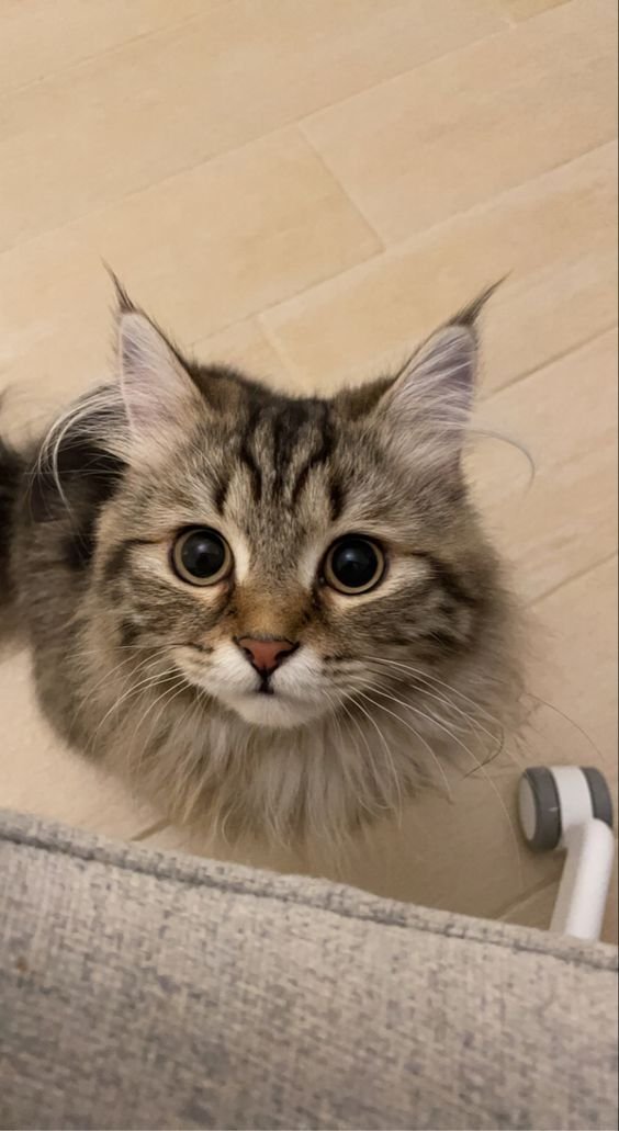 new week, new opportunities