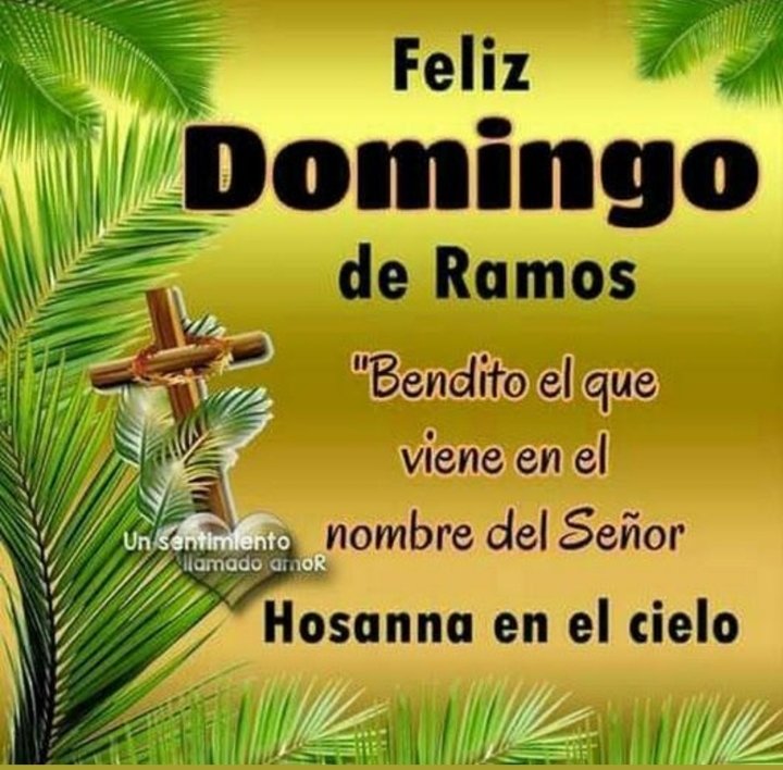 Feliz Domingo de Ramos para Todos!!! Amén...