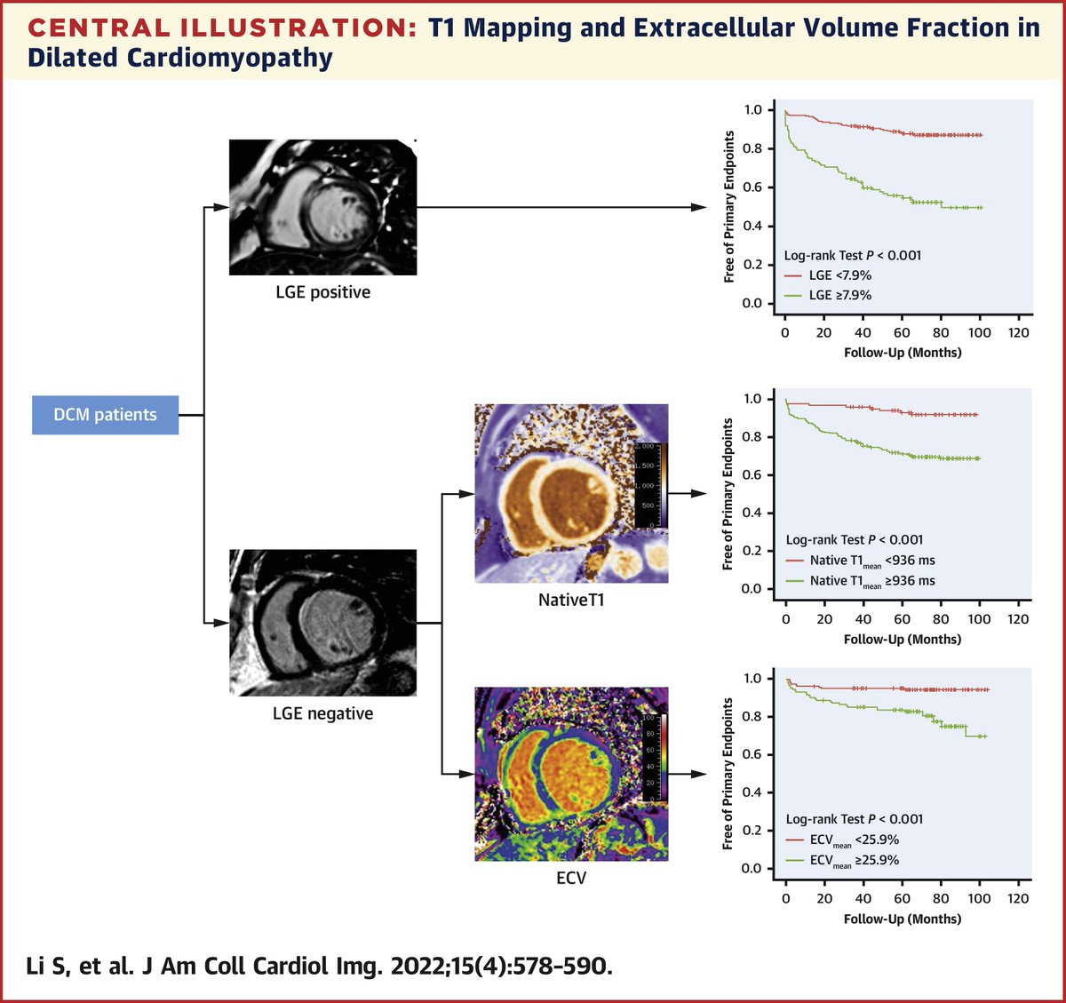 JACCJournals's tweet photo. #JACCIMG #cardiomyopathy spotlight: T1 mapping/ECV fraction is a novel, noninvasive way to risk-stratify patients with DCM, particularly those who do not have any LGE detected by conventional #whyCMR methods. https://t.co/FZi17DOFII

#cvCHF #cvImaging #CardioTwitter https://t.co/2JWnyhhYwA