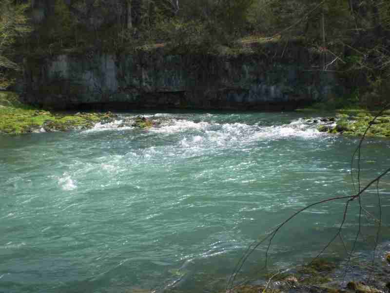FamilyOutdoors1's tweet photo. The #CurrentRiver is one of the most beautiful #OzarkRivers and has some of Missouri's best #TroutFishing. Nothing wrong with the parks, but don't miss this beautiful option! https://t.co/QwHjK5clfm https://t.co/uSERW5Y4aI