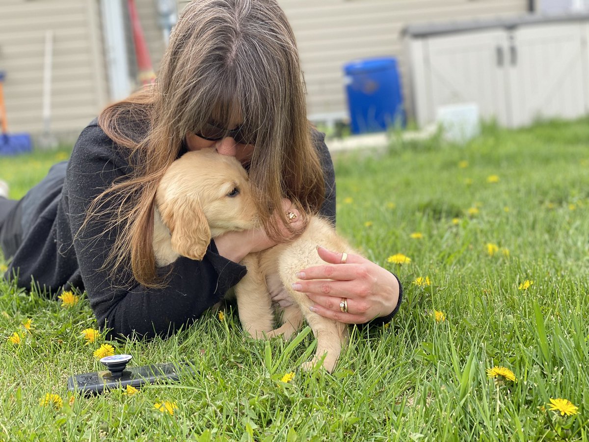 11. Love.
Aside from close family members, you will not love anything as much as you love your dog.
Dogs are pure.  
They are the best of us.
You will fall hard for them.
That’s ok because they will love you back with the force of a thousand hurricanes.
Be puppared. ❤️