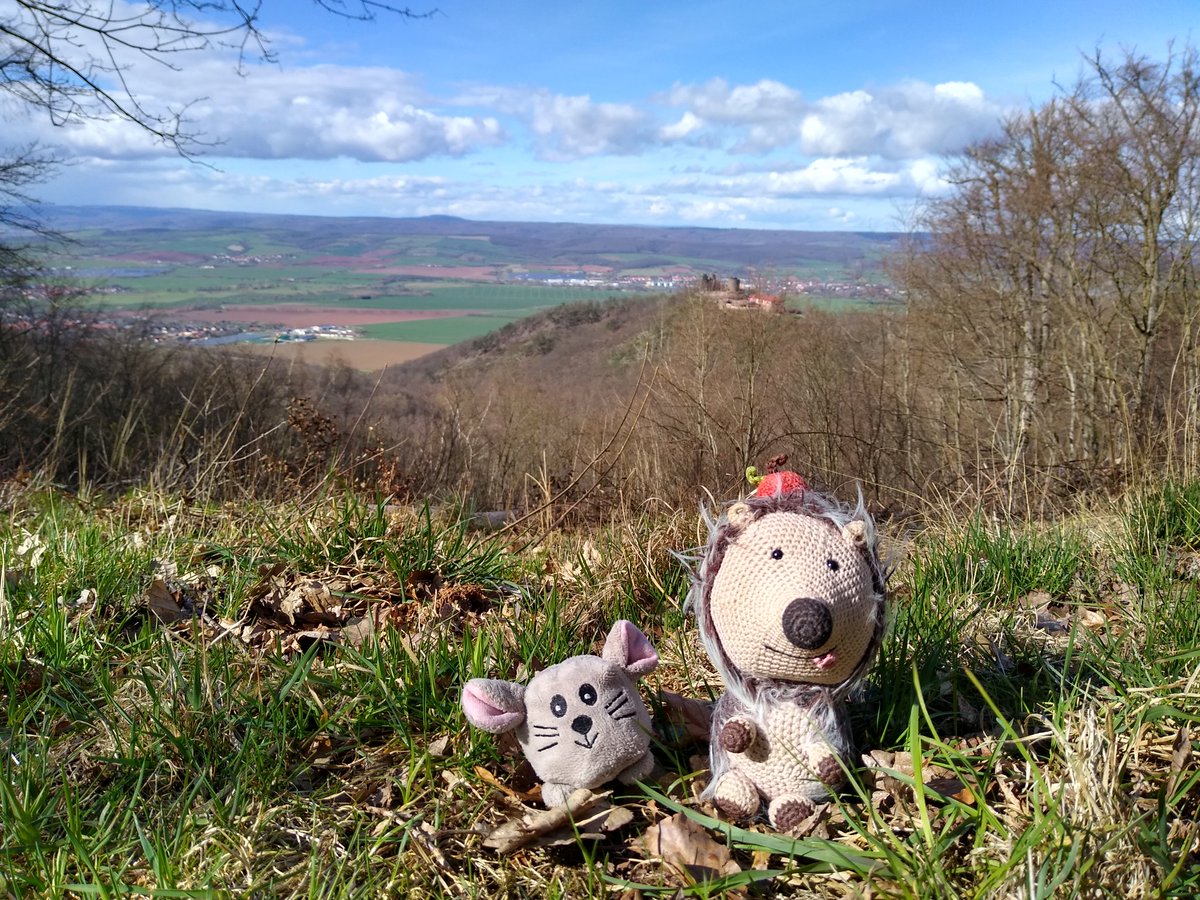 HedgehogHelveti's tweet photo. Greetings from our Sunday excursion! ☺️🤗 On the first picture you can see behind us the 'Rothenburg' which was first mentioned in 1103. Also, we saw loads of wood anemones (Buschwindröschen). Soooooo beautiful! 🥰 https://t.co/vHcKVnO17K