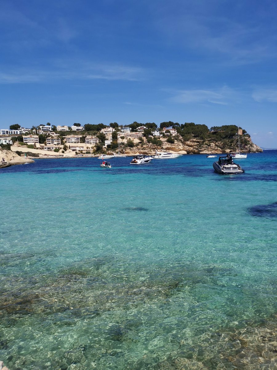 Luni 🌙 tweet media