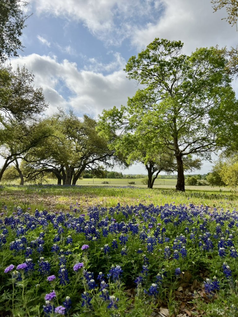 GrangerSmith's tweet photo. God bless TX https://t.co/BzQXYcdv1l