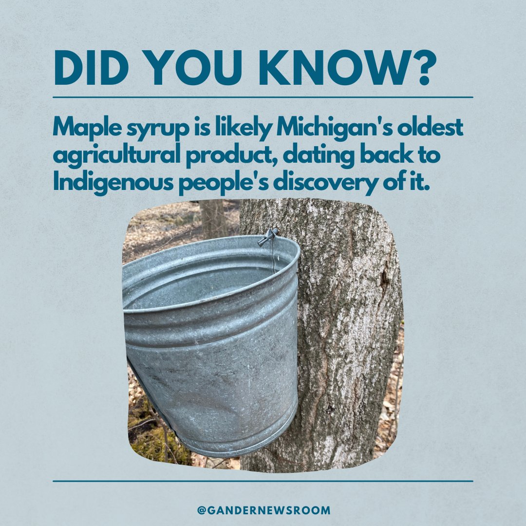 GanderNewsroom's tweet photo. When you think Michigan agriculture, cherries, berries, and grain all come to mind. But did you know that maple syrup is Michigan's oldest agricultural practice?

STORY: https://t.co/tAzmBk1iQX https://t.co/B0YyXFxzy3