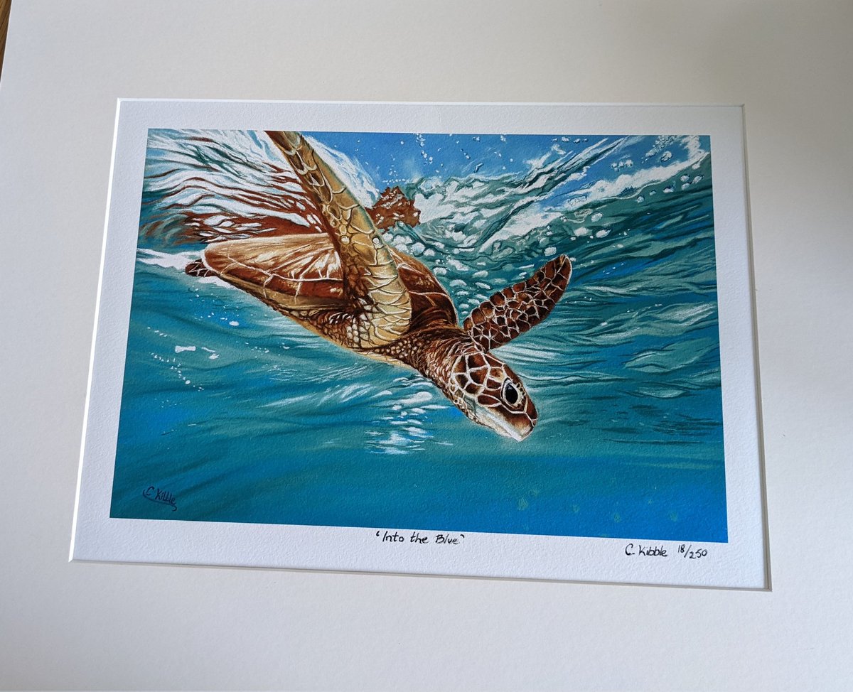 Carol Kibble tweet media