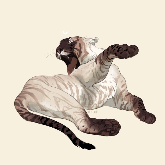I love how goofy cats can look while grooming 